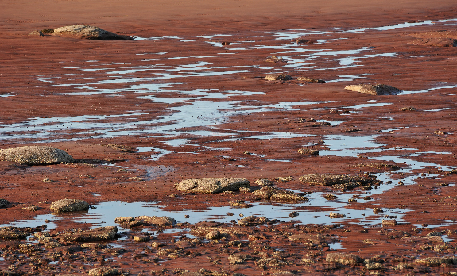 Amherst Shore [300 mm, 1/200 sec at f / 10, ISO 400]